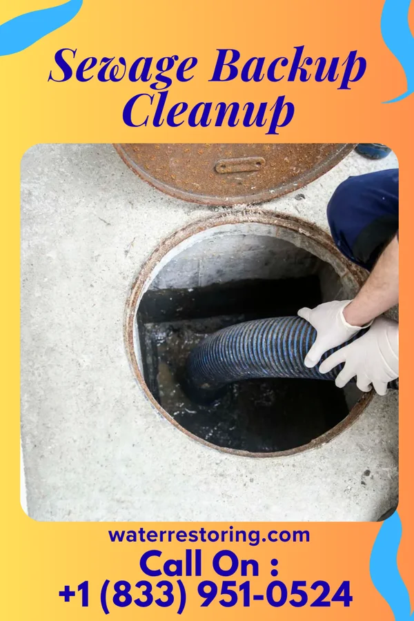 Sewage Backup Cleanup in Juniata, NE