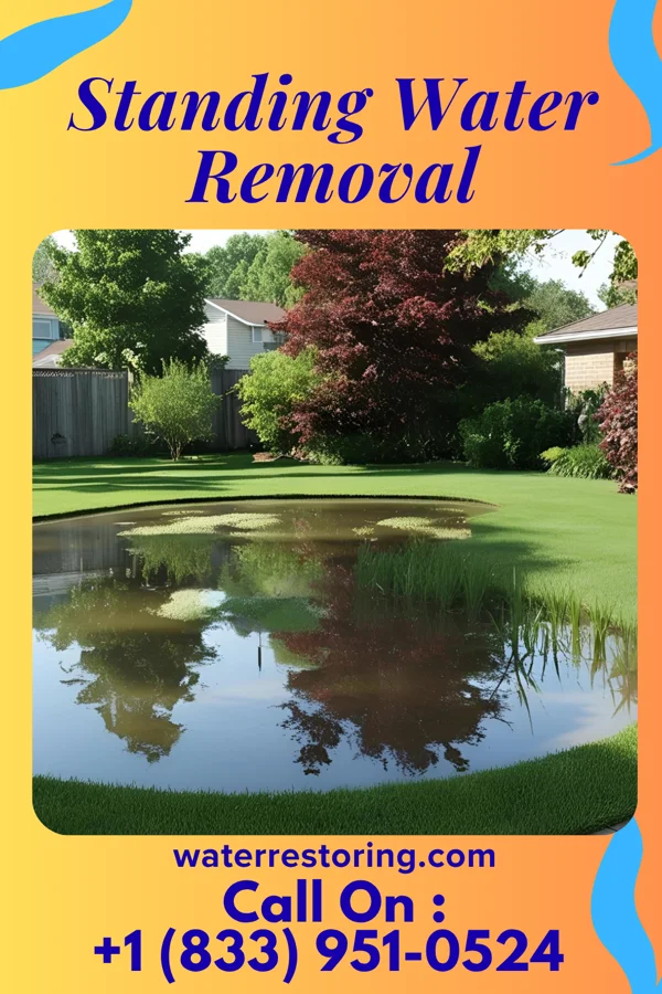 Standing Water Removal in Juniata, NE
